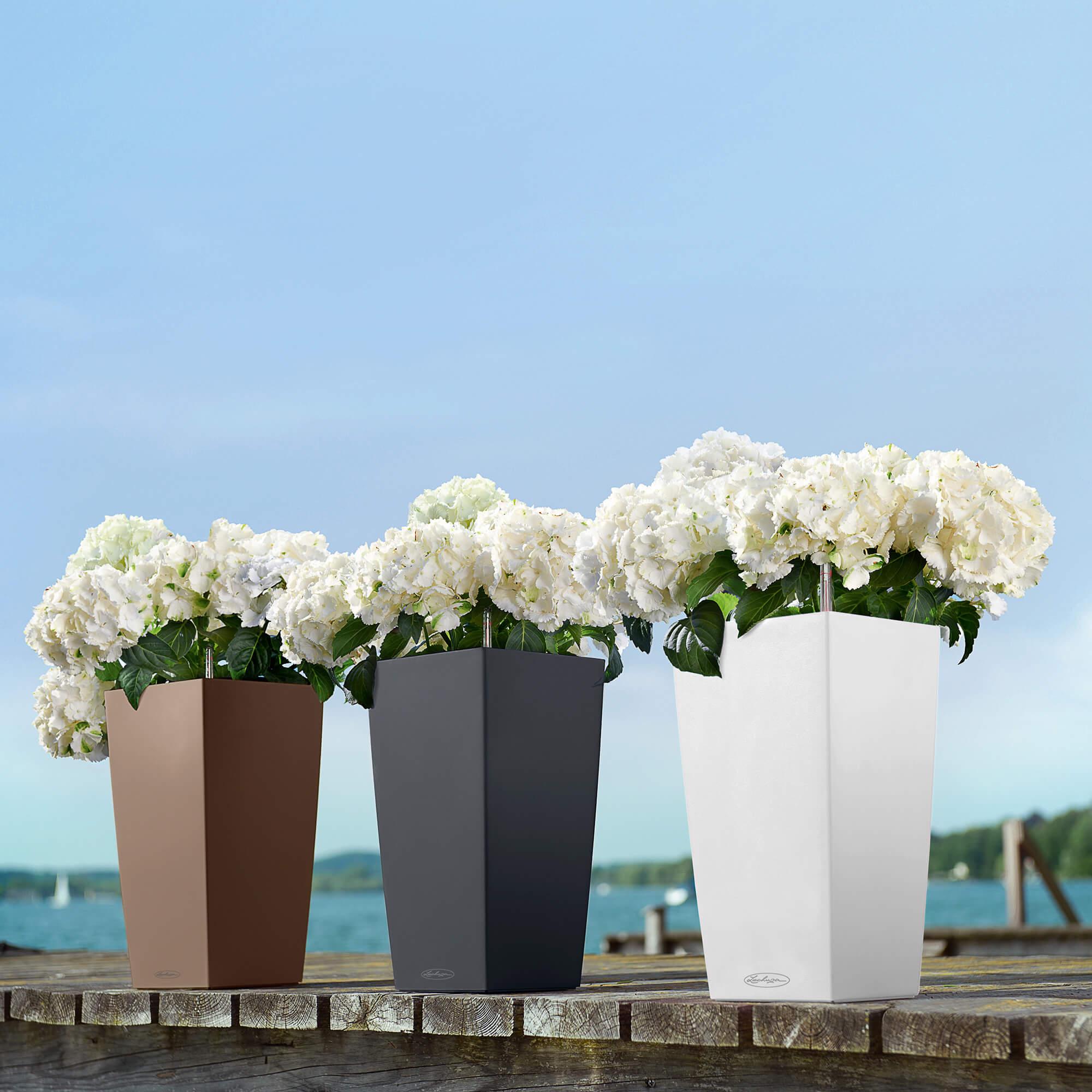 le_cubico-color22_product_addi_02 le_cubico-color22_product_addi_02